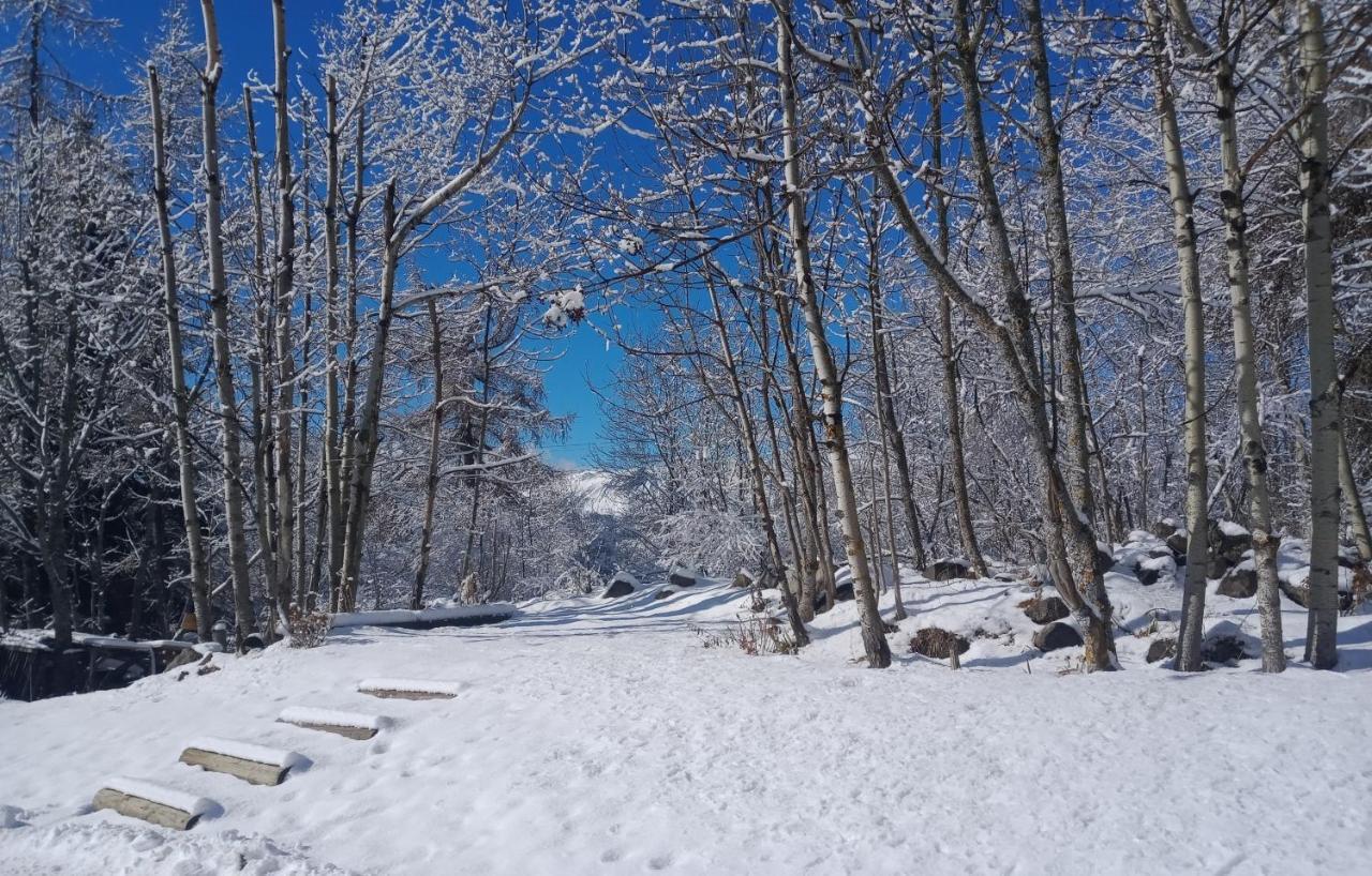 Montagne Le Flocon